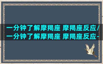 一分钟了解摩羯座 摩羯座反应/一分钟了解摩羯座 摩羯座反应-我的网站